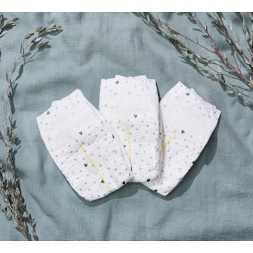 The Honest Company Clean Conscious Diapers, Tutu Cute + Rose Blossom Print - Size 2