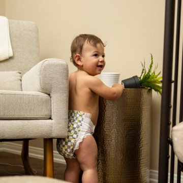 The Honest Company Clean Conscious Diapers Club Box - Size 5, 2 Print Pack