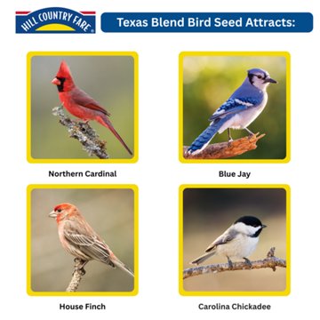 Hill Country Fare Texas Blend Bird Seed, 8 lb