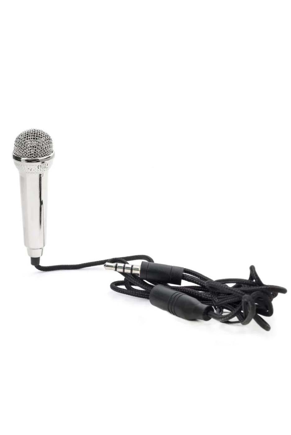 Kikkerland Mini Karaoke Microphone Silver Shop Speakers at HEB