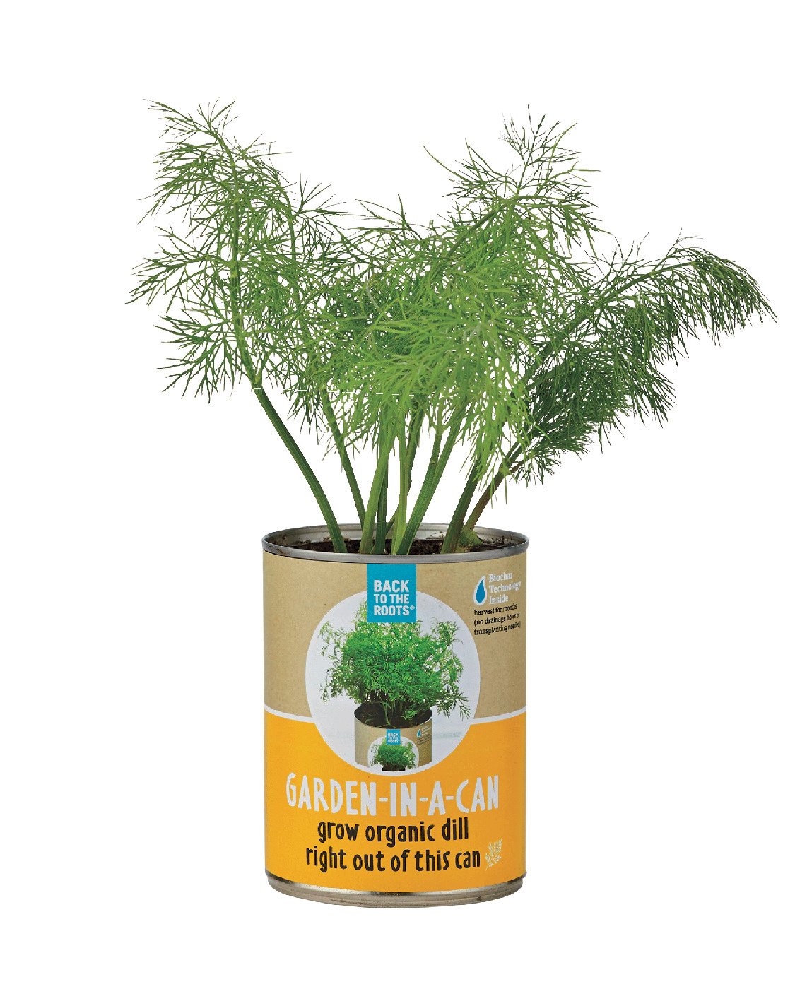 plants indoor outdoor Seeley Cube Planter main image 0