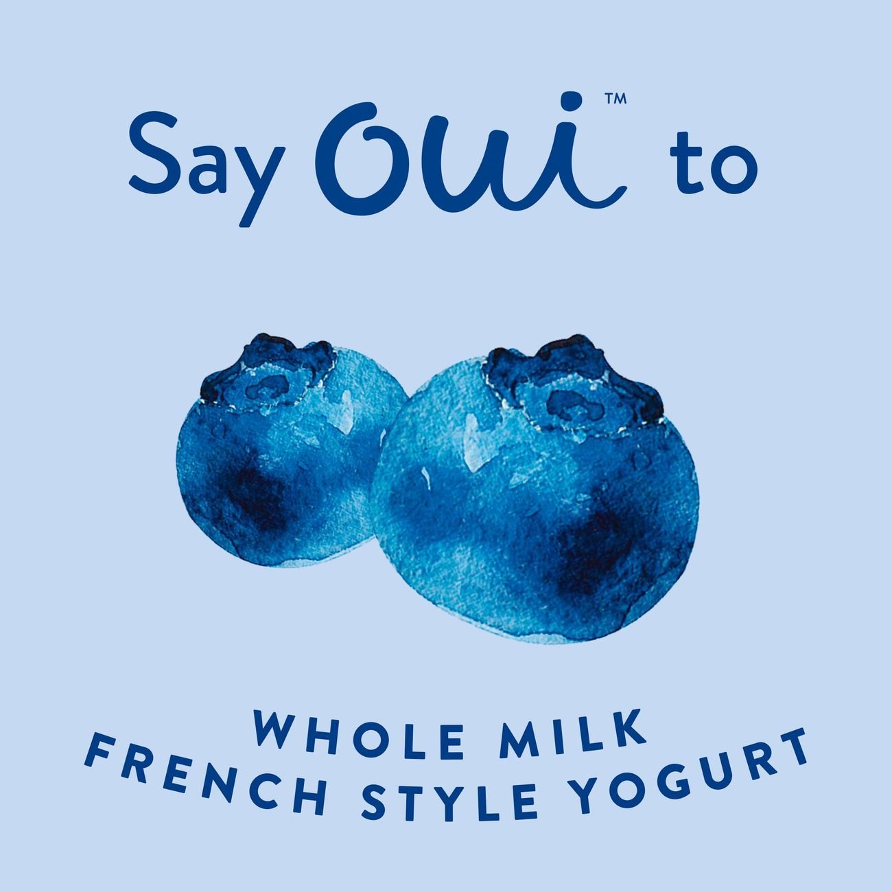 Yoplait Oui Blueberry French Style Yogurt