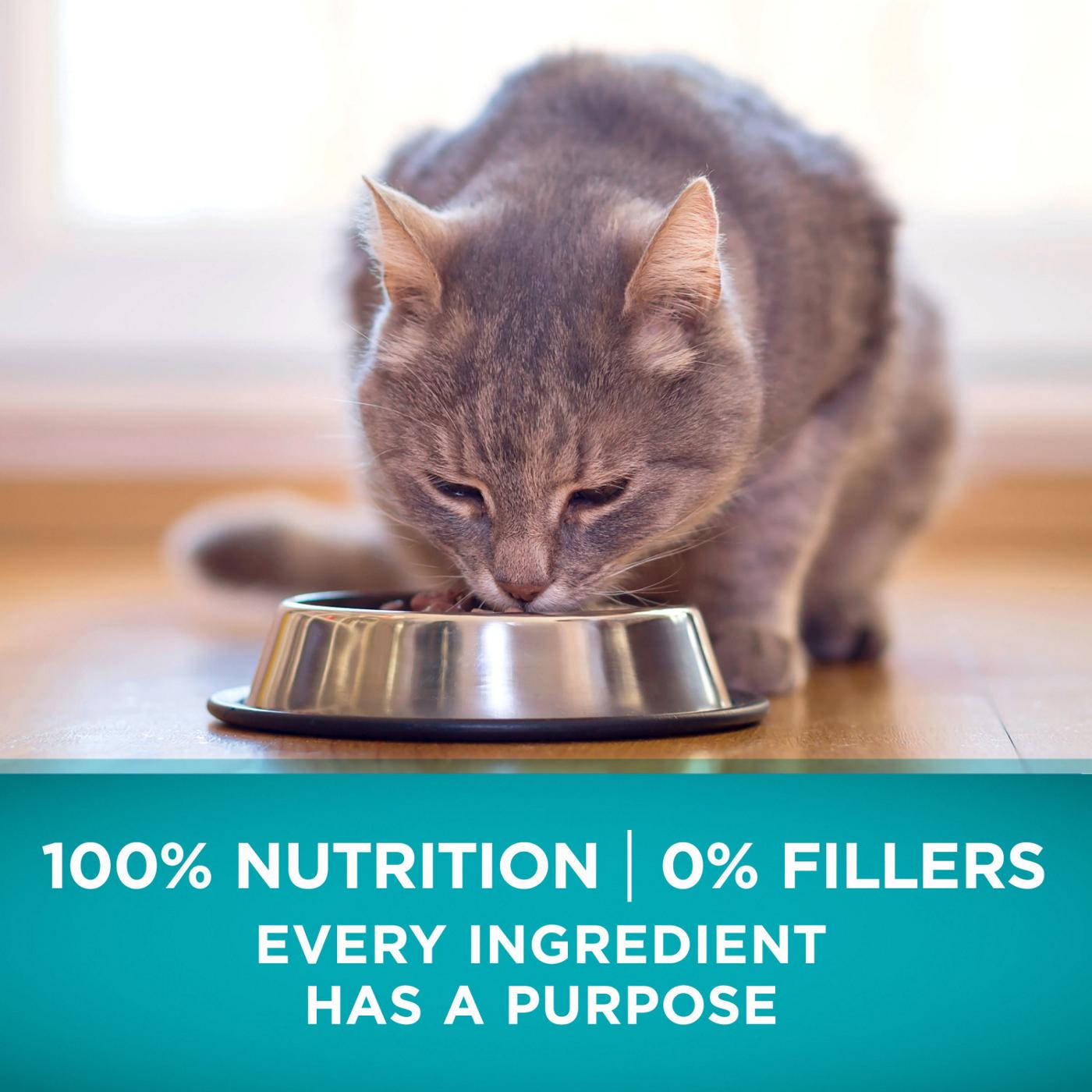 Purina ONE Purina ONE Natural, High Protein, Grain Free Dry Cat Food, True Instinct With Real Chicken; image 6 of 7