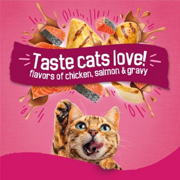 Friskies Purina Gravy Swirlers Dry Cat Food - Flavors of Chicken, Salmon and Gravy