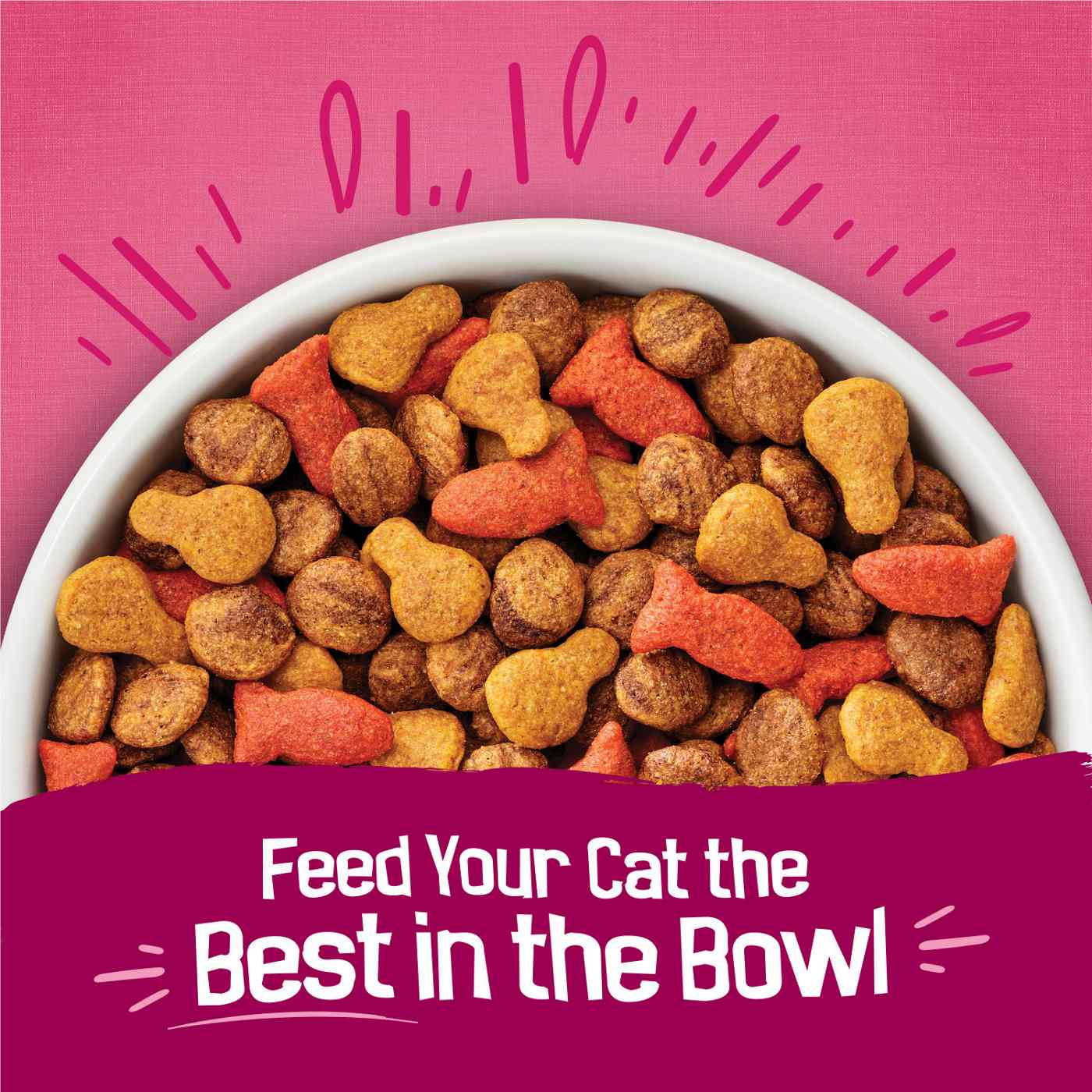 Friskies Purina Friskies Dry Cat Food, Gravy Swirlers Shop Food at HEB