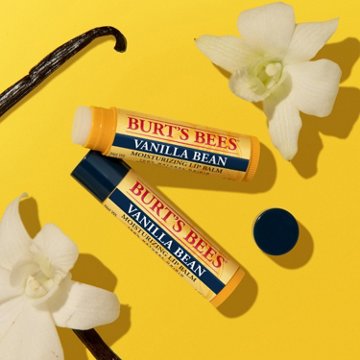 Burt's Bees Moisturizing Lip Balm Pack - Vanilla Bean