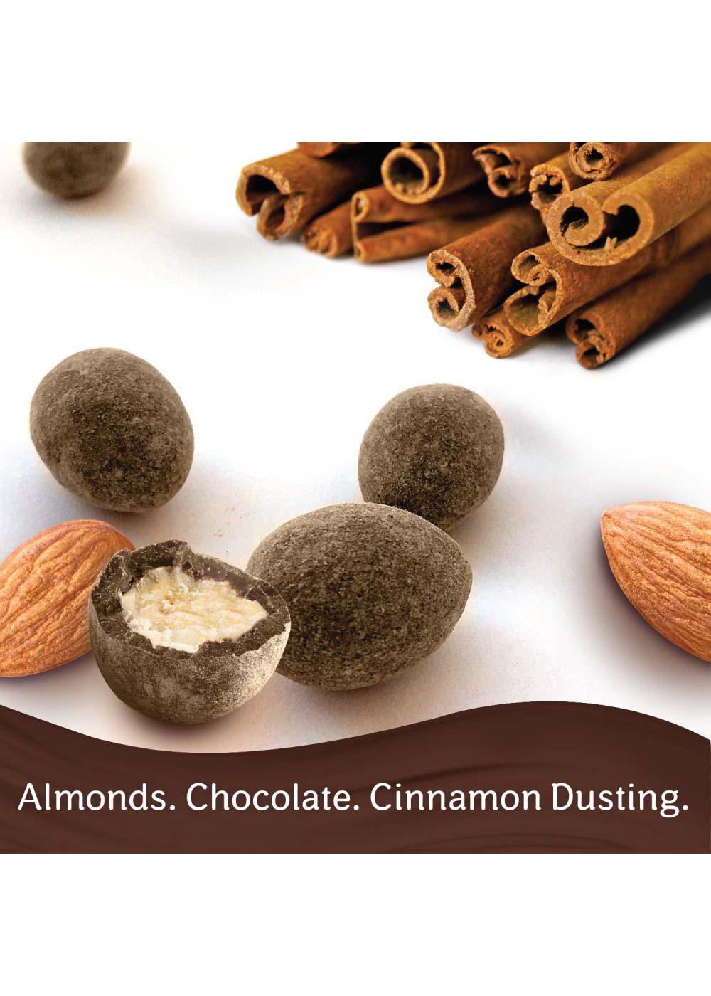 Dove Almonds With Cinnamon and Dark Chocolate Candy Bag Shop Candy at