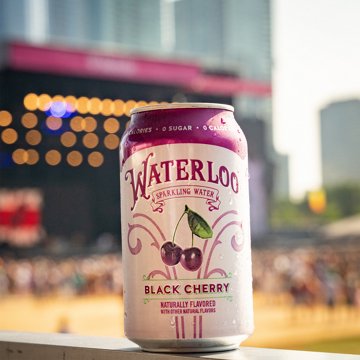 Waterloo Black Cherry Sparkling Water 12 pk Cans