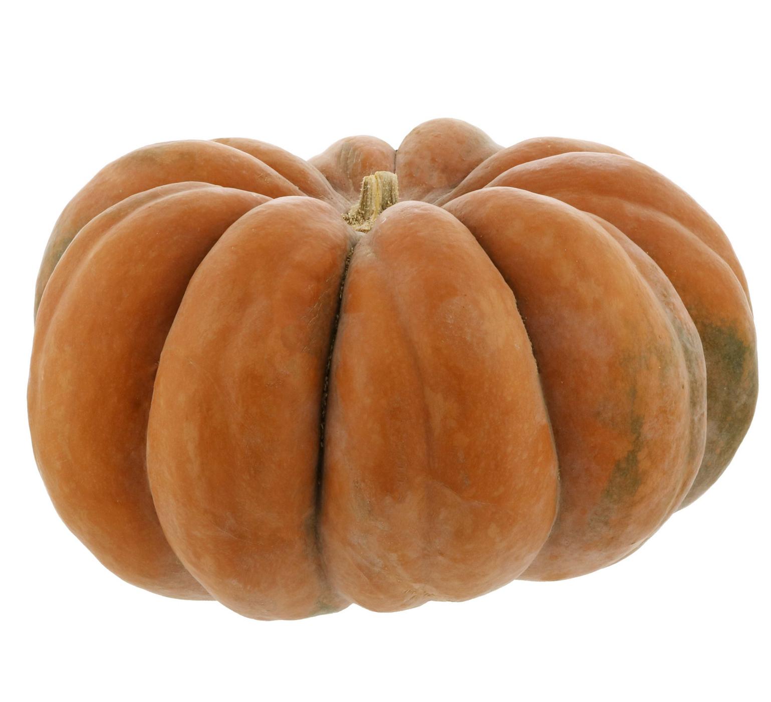 H-E-B Texas Roots Fairytale Pumpkin - Small; image 1 of 2