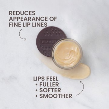 Burt's Bees Overnight Lip Treatment
