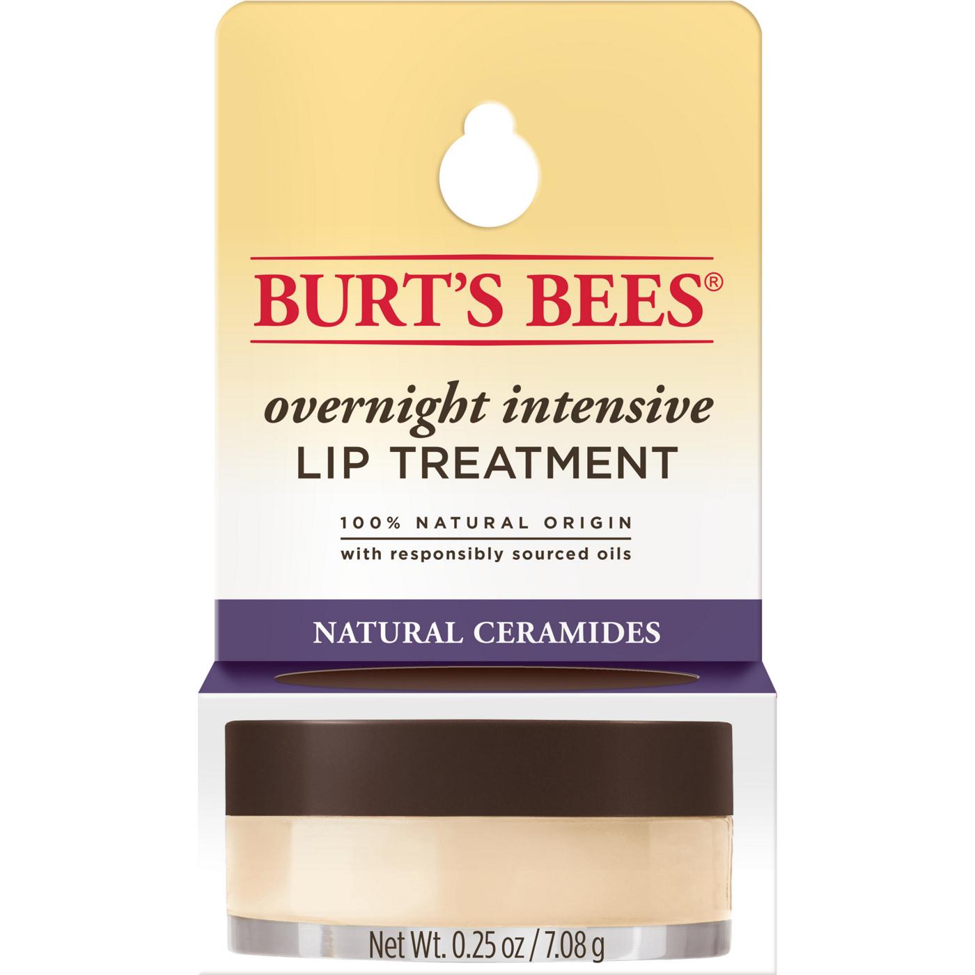 Burt's Bees Overnight Intensive Lip Treatment; image 1 of 10