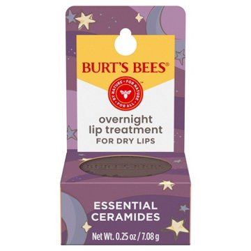 Burt's Bees Overnight Lip Treatment