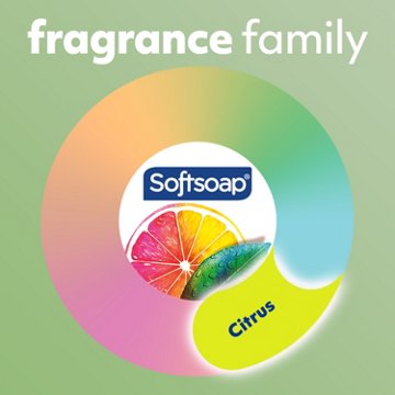 Softsoap Antibacterial Hand Soap Refill -  Fresh Citrus