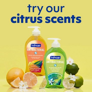 Softsoap Antibacterial Hand Soap Refill -  Fresh Citrus