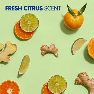 Softsoap Antibacterial Hand Soap Refill -  Fresh Citrus