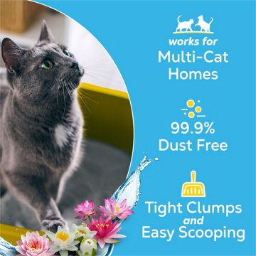 Tidy Cats Purina Odor Control Clumping Multi-Cat Litter With Glade Clear Springs Scented, 35 lb