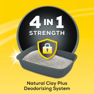 Tidy Cats Purina Clumping 4-in-1 Strength Multi Cat Litter, 35 lb