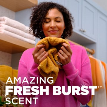 Arm & Hammer Plus Oxi Clean Odor Blasters HE Laundry Detergent Pacs - Fresh Burst