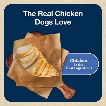 Blue Buffalo Bits Soft & Chewy Dog Treats - Chicken, 11 oz
