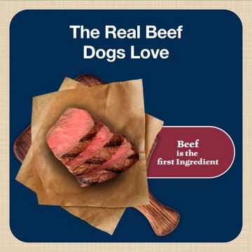 Blue Buffalo Bits Soft & Chewy Dog Treats - Beef, 11 oz