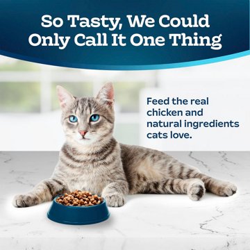 Blue Buffalo Tastefuls Indoor Dry Cat Food - Chicken