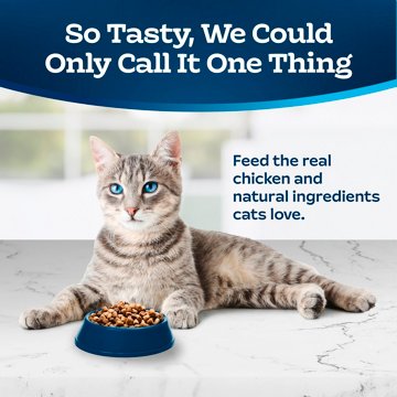 Blue Buffalo Tastefuls Dry Cat Food Sensitive Stomach - Chicken