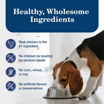Blue Buffalo Homestyle Recipe Chicken Dinner with Garden Vegetables Wet Dog Food, 12.5 oz