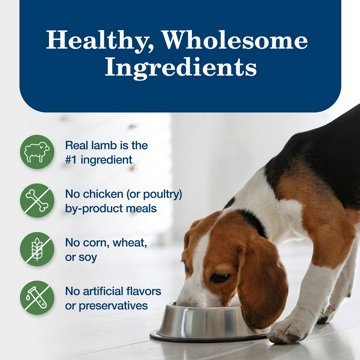Blue Buffalo Homestyle Wet Dog Food - Lamb
