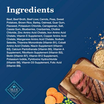 Blue Buffalo Homestyle Wet Dog Food - Beef