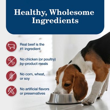 Blue Buffalo Homestyle Wet Dog Food - Beef