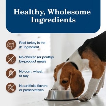 Blue Buffalo Homestyle Wet Dog Food - Turkey