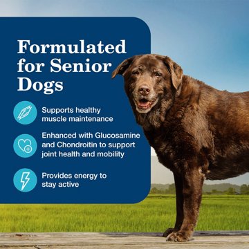 Blue Buffalo Homestyle Senior Wet Dog Food - Chicken