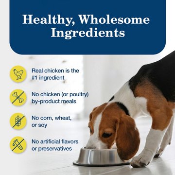 Blue Buffalo Homestyle Healthy Weight Wet Dog Food - Chicken