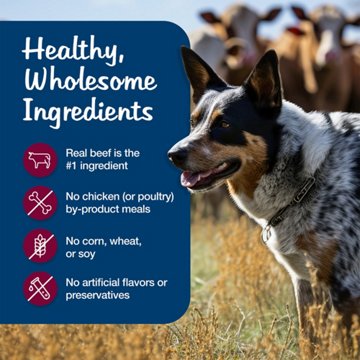 Blue Buffalo Blue's Stew Grain Free Wet Dog Food - Beef