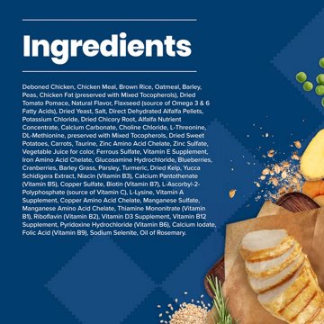 Blue Buffalo Life Protection Formula Dry Dog Food - Chicken & Brown Rice, 15 lb