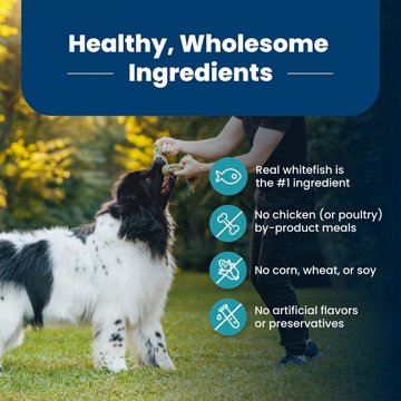 Blue Buffalo Life Protection Formula Dry Dog Food - Fish