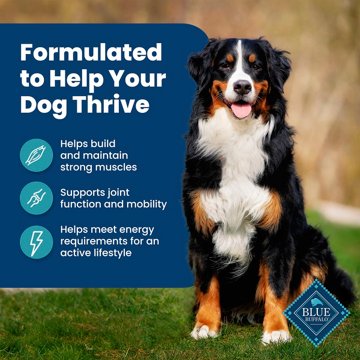 Blue Buffalo Life Protection Formula Dry Dog Food - Fish
