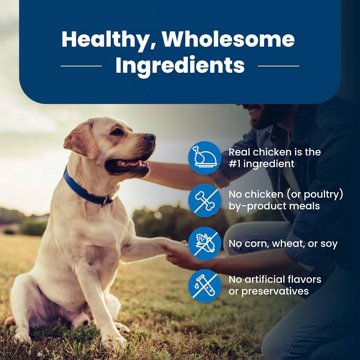 Blue Buffalo Life Protection Formula Senior Dry Dog Food - Chicken