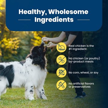 Blue Buffalo Life Protection Formula HW Dry Dog Food - Chicken