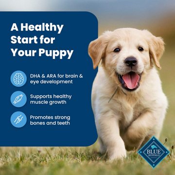Blue Buffalo Life Protection Formula Puppy Dry Dog Food - Chicken