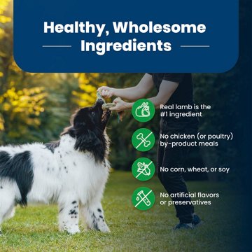 Blue Buffalo Life Protection 
Formula Dry Dog Food - Lamb