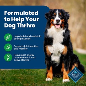 Blue Buffalo Life Protection 
Formula Dry Dog Food - Lamb