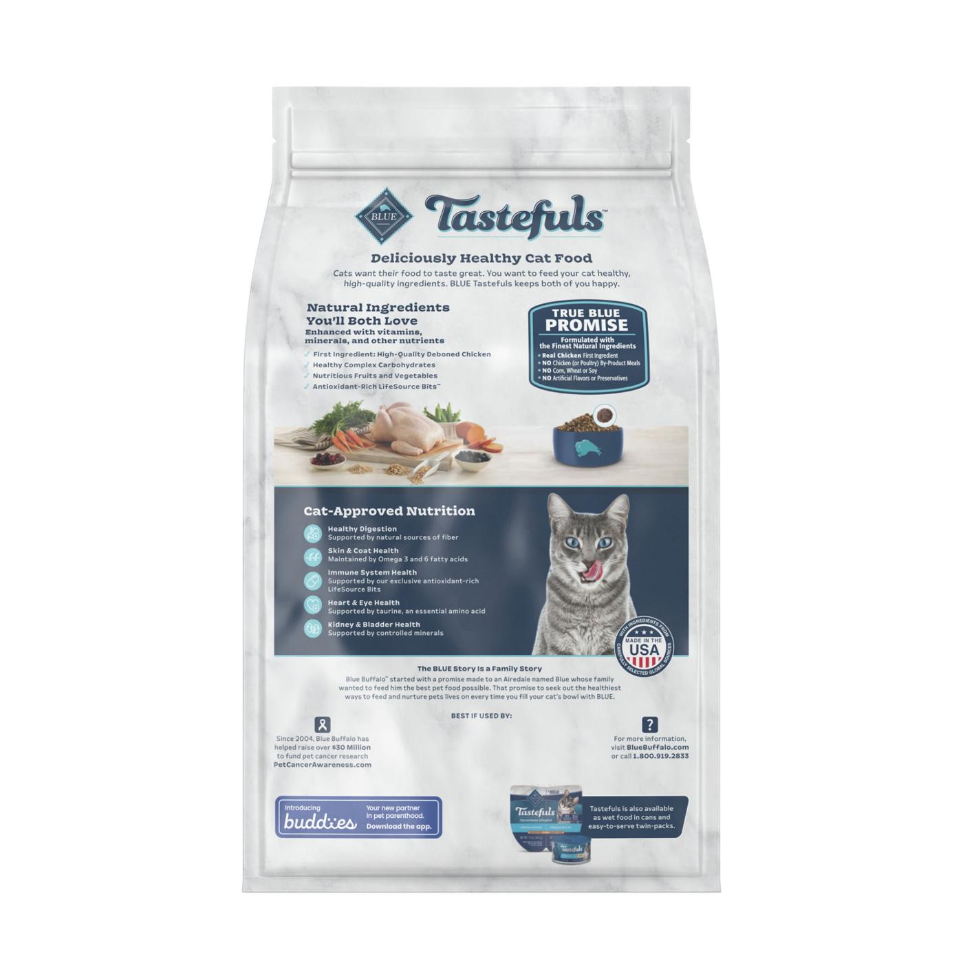 Blue Buffalo Tastefuls Indoor Natural Adult Dry Cat Food - Chicken; image 2 of 2