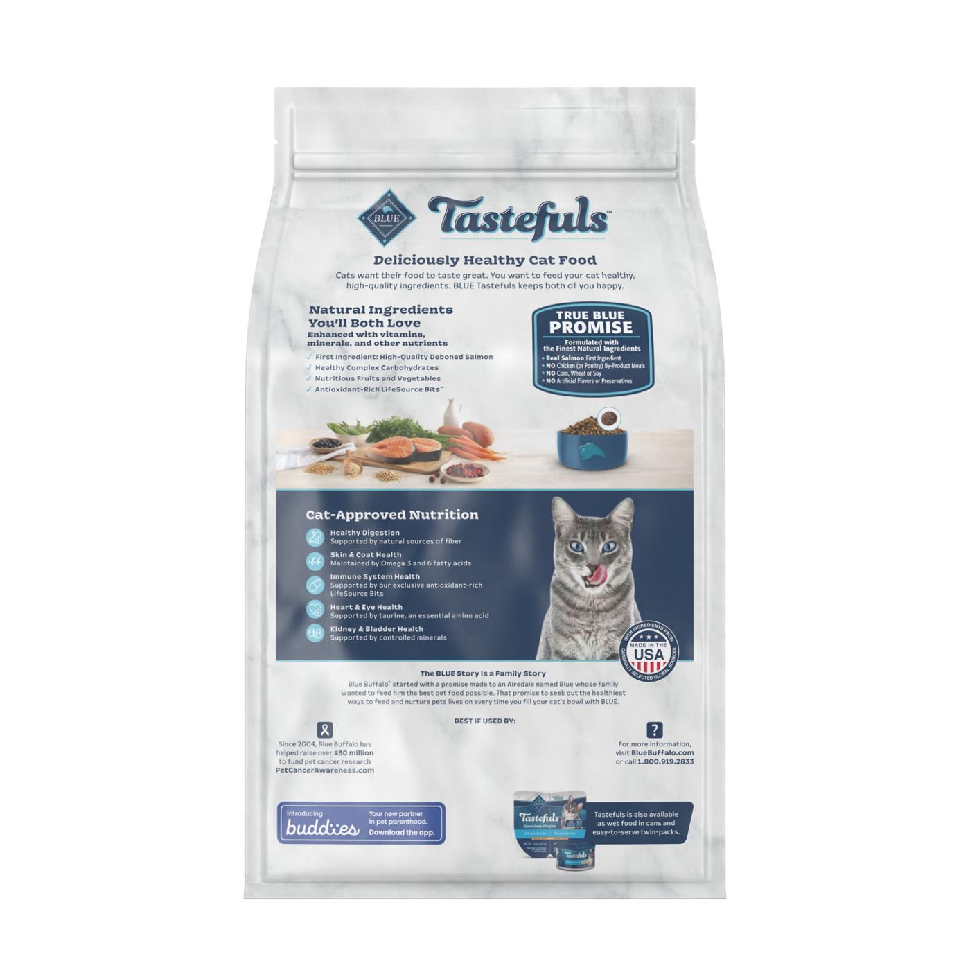 Blue Buffalo Tastefuls Indoor Natural Adult Dry Cat Food Salmon