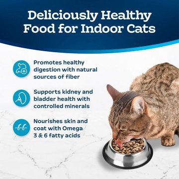 Blue Buffalo Tastefuls Indoor Dry Cat Food - Salmon