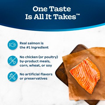 Blue Buffalo Tastefuls Indoor Dry Cat Food - Salmon