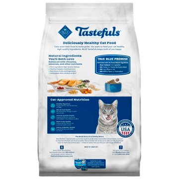 Blue Buffalo Tastefuls Indoor Dry Cat Food - Salmon