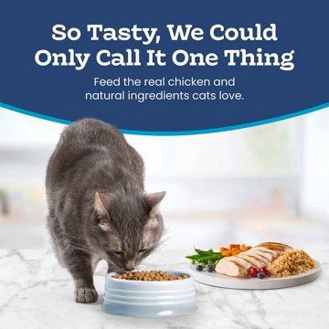 Blue Buffalo Tastefuls Dry Cat Food Sensitive Stomach - Chicken