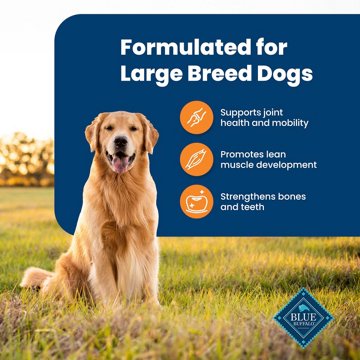 Blue Buffalo Life Protection Formula  Dry Dog Food - Chicken