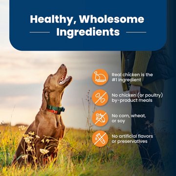Blue Buffalo Life Protection Formula  Dry Dog Food - Chicken